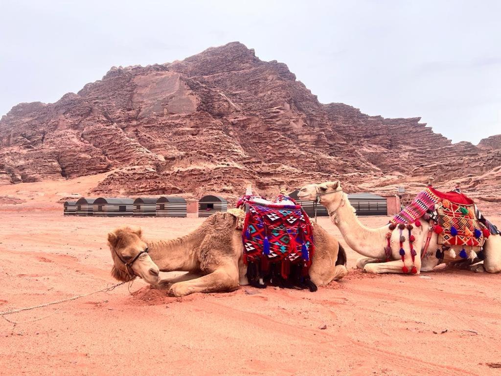 Wadi Rum Sky Tours&Camp Bagian luar foto